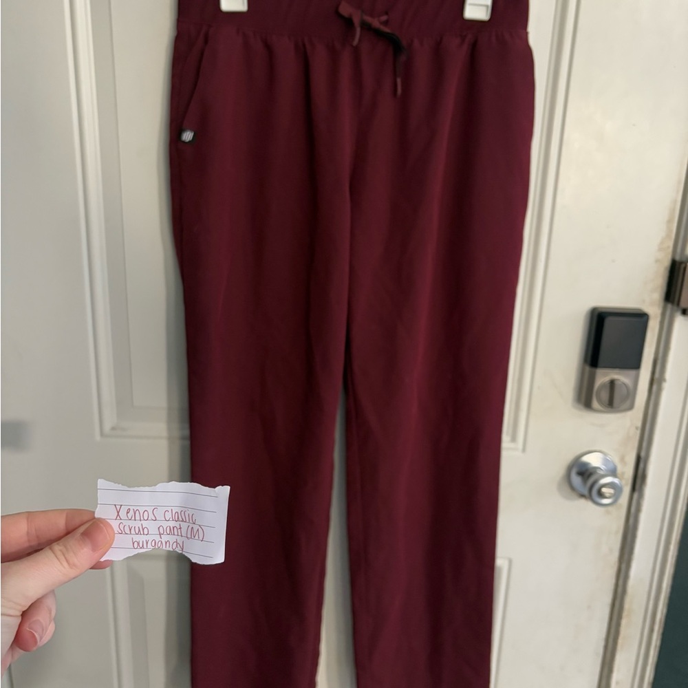 Jaanuu Xenos Classic Scrub Pants in burgundy